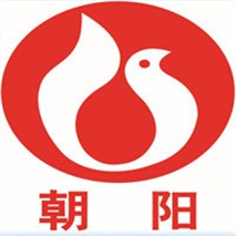 朝陽泵業(yè)QZ軸流、QH混流潛水電泵